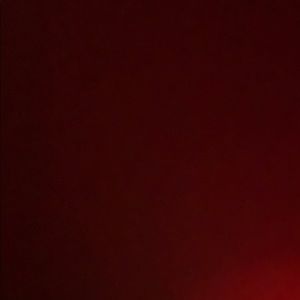 Meet your Posher, Savannah